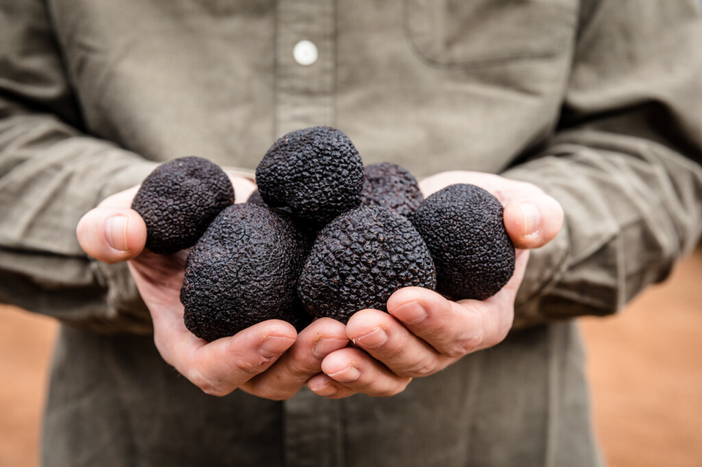 Australian Truffle Traders Your Margaret River Region