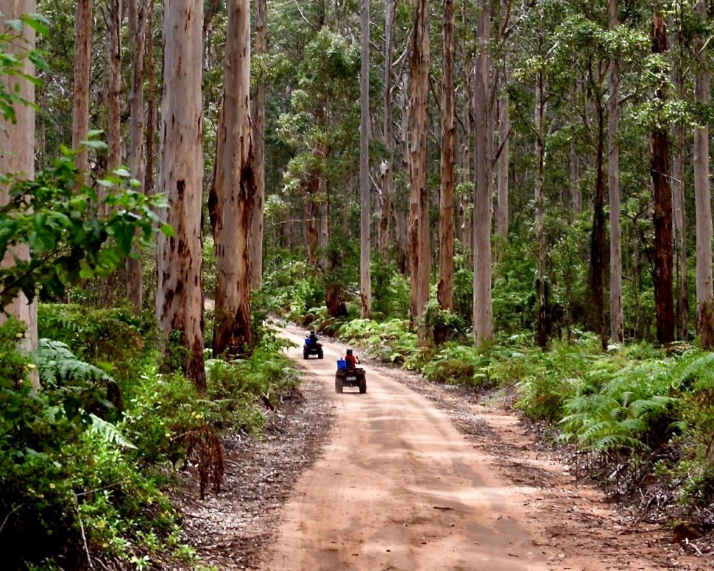 EcoAdventures Margaret River Your Margaret River Region