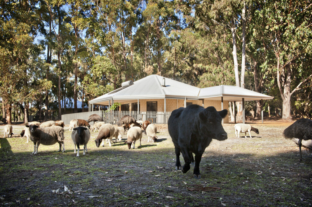 Margaret River Hideaway and Farmstay Your Margaret River Region