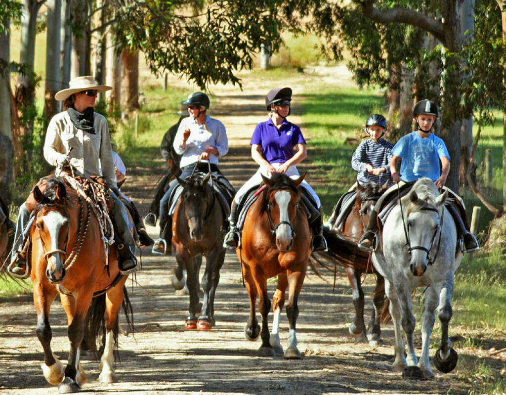 The Horse Resort Your Margaret River Region