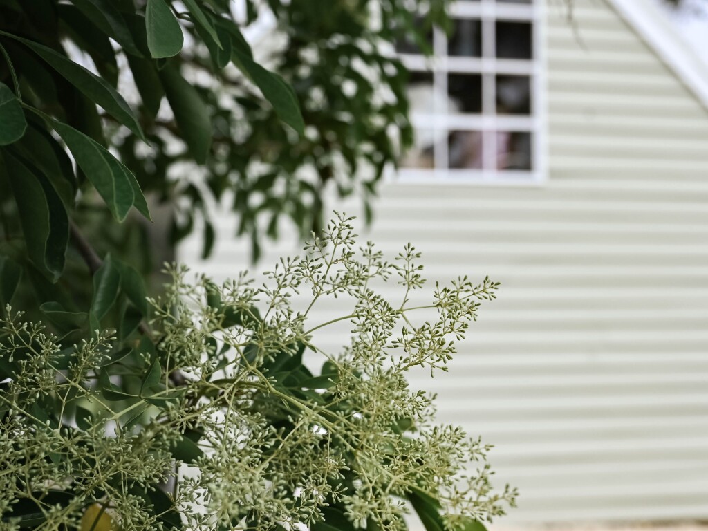 Meelup Farmhouse Your Margaret River Region